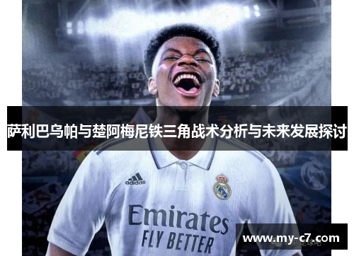 萨利巴乌帕与楚阿梅尼铁三角战术分析与未来发展探讨