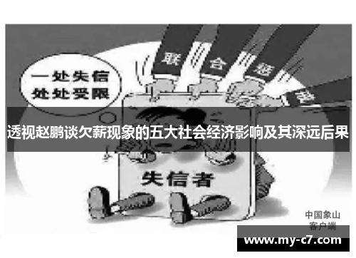 透视赵鹏谈欠薪现象的五大社会经济影响及其深远后果